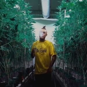 Meet your Posher, Frank